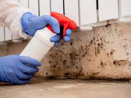 Mold Remediation for Vacation Homes in Perrysburg, OH